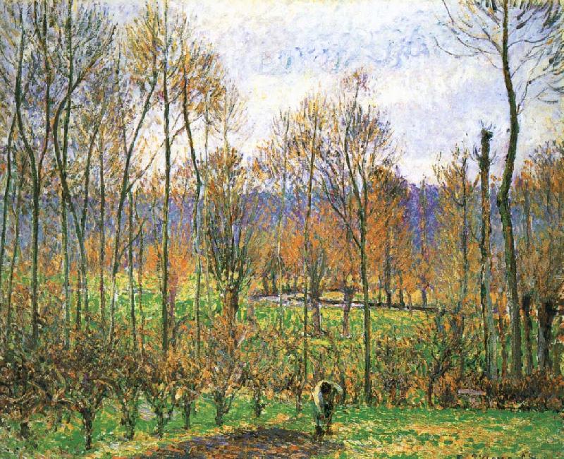 Camille Pissarro Cloudy Poplar oil painting image